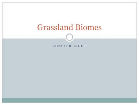 CHAPTER EIGHT Grassland Biomes. Grass Looking outside at grass, you don’t usually think much of it However, grass  Feeds billions of organisms worldwide.