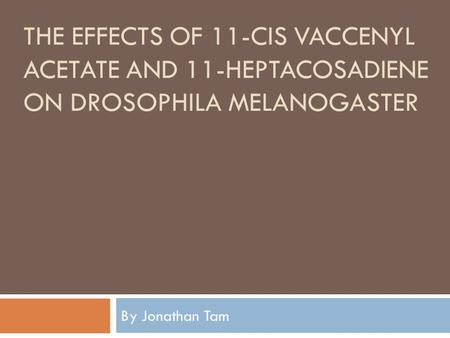 THE EFFECTS OF 11-CIS VACCENYL ACETATE AND 11-HEPTACOSADIENE ON DROSOPHILA MELANOGASTER By Jonathan Tam.
