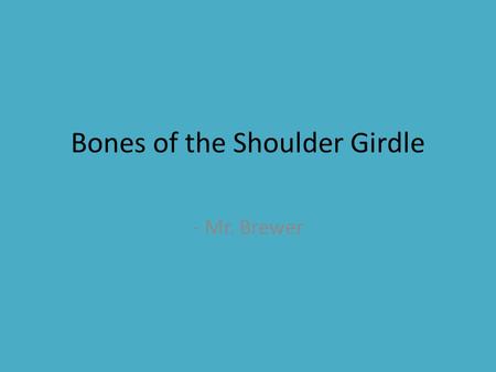 Bones of the Shoulder Girdle - Mr. Brewer. Bones of the Shoulder 4 Major Bones that make up the Shoulder Girdle: – Humerus (Upper Arm Bone) – Clavical.