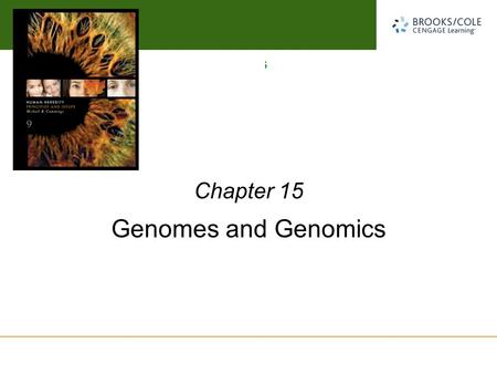 Michael Cummings David Reisman University of South Carolina Genomes and Genomics Chapter 15.