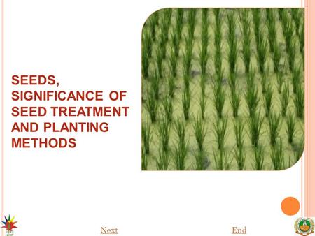 SEEDS, SIGNIFICANCE OF SEED TREATMENT AND PLANTING METHODS
