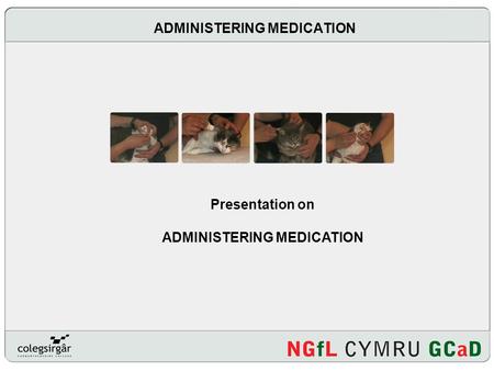 ADMINISTERING MEDICATION Presentation on ADMINISTERING MEDICATION.
