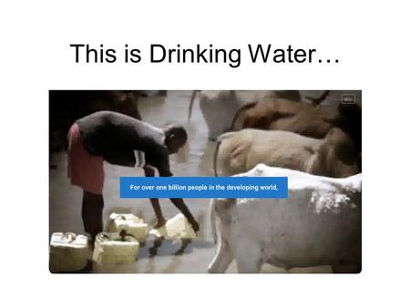 This is Drinking Water…. Pennies for Pur TM Water More than 4,000 children die every day from diseases caused by drinking unsafe water. Your CHS Green.