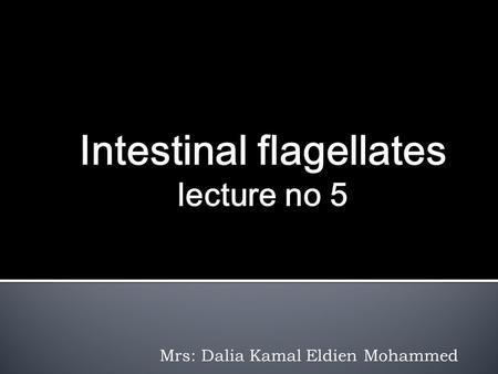 Mrs: Dalia Kamal Eldien Mohammed.  The flagellates belong to the Mastigophora Subphylum and possess more than one flagellum.  Beating these flagella.