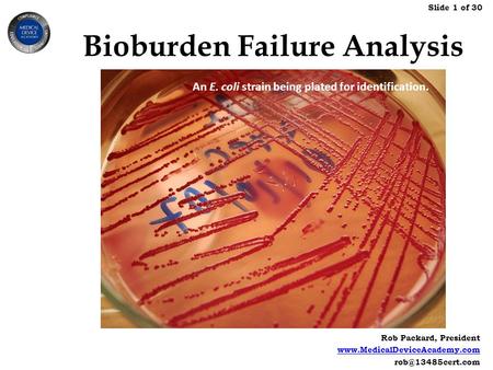 Rob Packard, President  Slide 1 of 30 Bioburden Failure Analysis An E. coli strain being plated for identification.