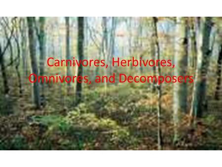 Carnivores, Herbivores, Omnivores, and Decomposers
