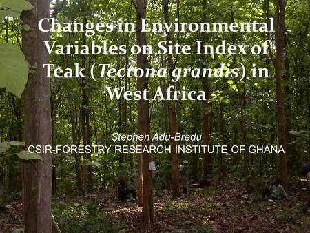 Changes in Environmental Variables on Site Index of Teak (Tectona grandis) in West Africa Stephen Adu-Bredu CSIR-FORESTRY RESEARCH INSTITUTE OF GHANA.