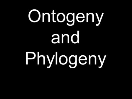 Ontogeny and Phylogeny.