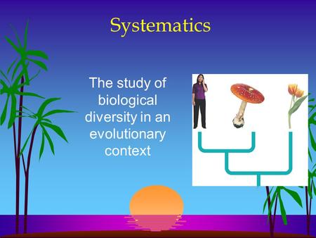 Systematics The study of biological diversity in an evolutionary context.