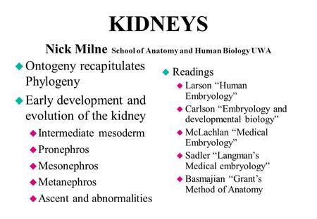 KIDNEYS Nick Milne School of Anatomy and Human Biology UWA