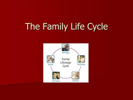 The Family Life Cycle.