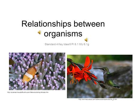 Relationships between organisms Standard 4 Key Idea 6 PI 6.1 MU 6.1g