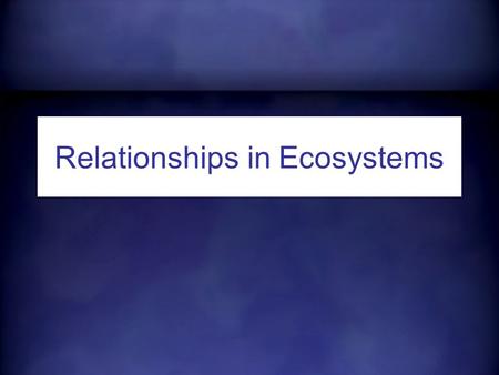 Relationships in Ecosystems. Populations All of the same species in an ecosystem www.nkf-mt.org.uk www.intrasystems.gr.