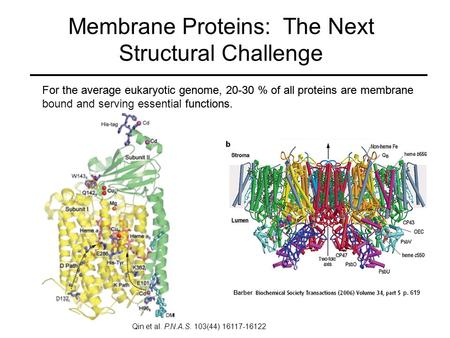 Membrane Proteins: The Next Structural Challenge For the average eukaryotic genome, 20-30 % of all proteins are membrane bound and serving essential functions.