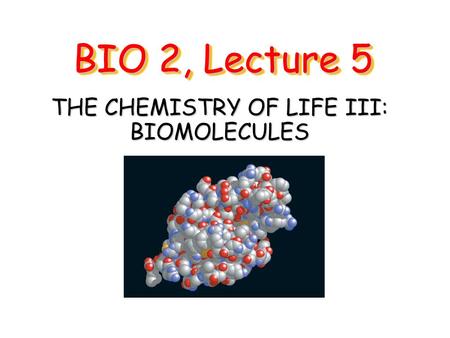 THE CHEMISTRY OF LIFE III: BIOMOLECULES