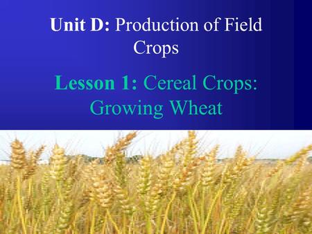 1 Unit D: Production of Field Crops Lesson 1: Cereal Crops: Growing Wheat.