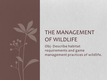Obj- Describe habitat requirements and game management practices of wildlife. THE MANAGEMENT OF WILDLIFE.