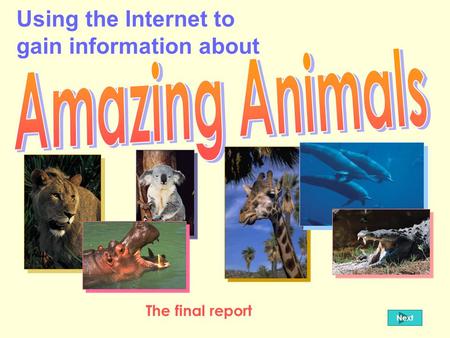 Using the Internet to gain information about Next The final report.