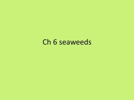 Ch 6 seaweeds. Primary producers Autotrophs Macrophytes Macroalgae.