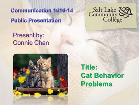 Title: Cat Behavior Problems Present by: Connie Chan.