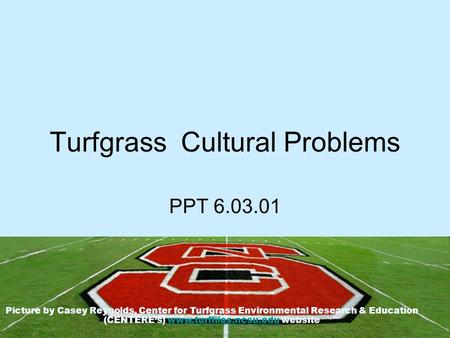 Turfgrass Cultural Problems PPT 6.03.01 Picture by Casey Reynolds, Center for Turfgrass Environmental Research & Education (CENTERE’s) www.turffiles.ncsu.edu.