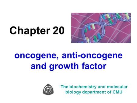 Chapter 20 oncogene, anti-oncogene and growth factor The biochemistry and molecular biology department of CMU.
