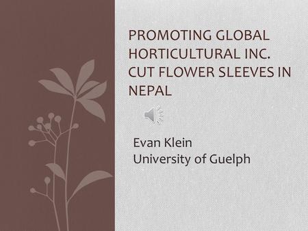 PROMOTING GLOBAL HORTICULTURAL INC. CUT FLOWER SLEEVES IN NEPAL Evan Klein University of Guelph.