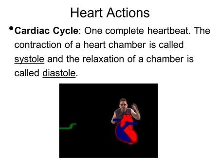 Heart Actions Cardiac Cycle: One complete heartbeat. The contraction of a heart chamber is called systole and the relaxation of a chamber is called diastole.