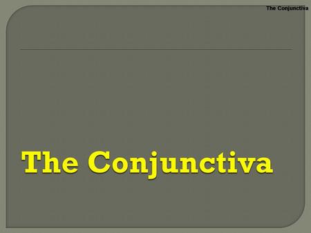 The Conjunctiva The Conjunctiva The Conjunctiva The Conjunctiva