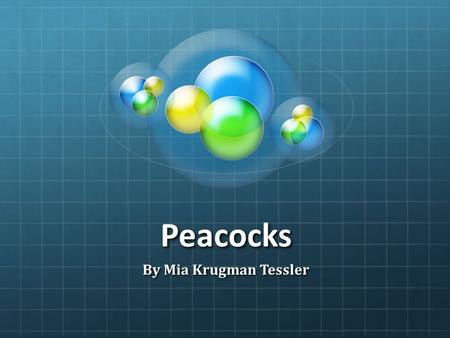 Peacocks By Mia Krugman Tessler.
