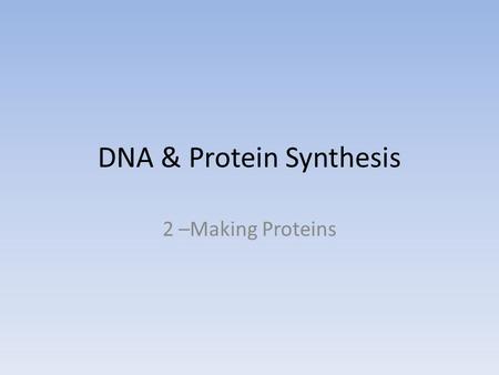 DNA & Protein Synthesis 2 –Making Proteins. Your challenge To recreate the process by which a cell produces a protein. Your desk is the cell. – Half of.