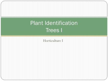 Plant Identification Trees I