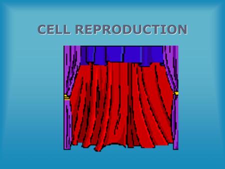 CELL REPRODUCTION THE CELL CYCLE AND MITOSIS.