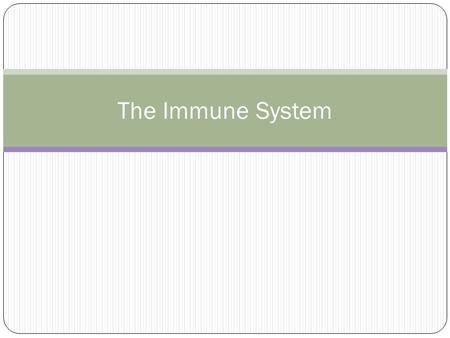 The Immune System. Immune System Our immune system is made up of: The innate immune system: first line of defence (non-specific) The adaptive immune system: