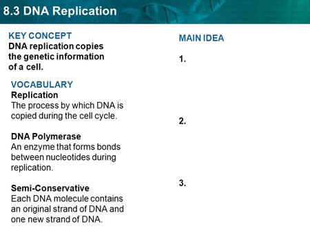 KEY CONCEPT  DNA replication copies the genetic information of a cell.