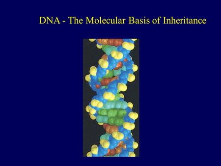 DNA - The Molecular Basis of Inheritance. James D. Watson & Francis H. Crick In 1953 presented the double helix model of DNA Two primary sources of information: