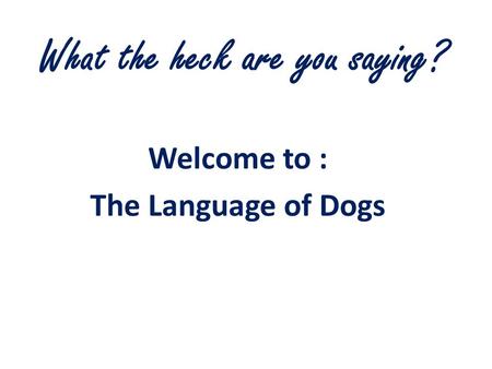 What the heck are you saying? Welcome to : The Language of Dogs.