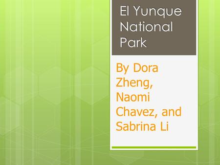 El Yunque National Park By Dora Zheng, Naomi Chavez, and Sabrina Li.
