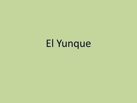 El Yunque.