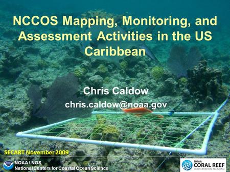 NOAA / NOS National Centers for Coastal Ocean Science NCCOS Mapping, Monitoring, and Assessment Activities in the US Caribbean Chris Caldow