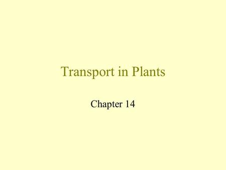 Transport in Plants Chapter 14 Transport in a plant Plants have a transport system. Xylem vessels carry water (and minerals ) from the roots to the leaves.