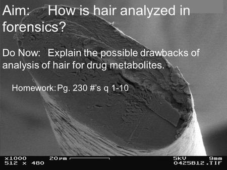 Aim:How is hair analyzed in forensics? Do Now:Explain the possible drawbacks of analysis of hair for drug metabolites. Homework:Pg. 230 #’s q 1-10.