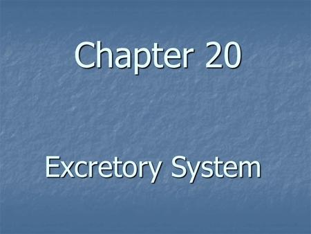 Chapter 20 Excretory System. Excretory System – Structure & Function A. The body system that collects and removes the waste products (urea, salts, uric.