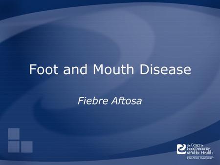 Foot and Mouth Disease Fiebre Aftosa 1.