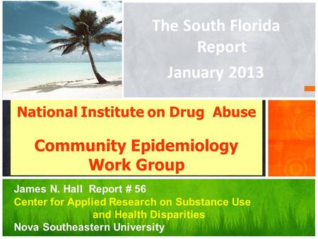 The South Florida Report January 2013 National Institute on Drug Abuse Community Epidemiology Work Group James N. Hall Report # 56 Center for Applied Research.