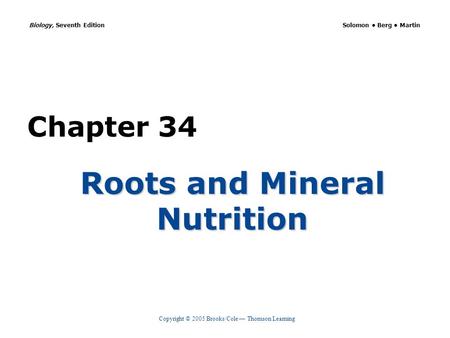 Roots and Mineral Nutrition