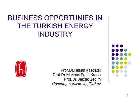1 BUSINESS OPPORTUNIES IN THE TURKISH ENERGY INDUSTRY Prof.Dr.Hasan Kazdağlı Prof.Dr.Mehmet Baha Karan Prof.Dr.Selçuk Geçim Hacettepe University, Turkey.