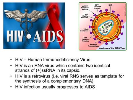 HIV = Human Immunodeficiency Virus