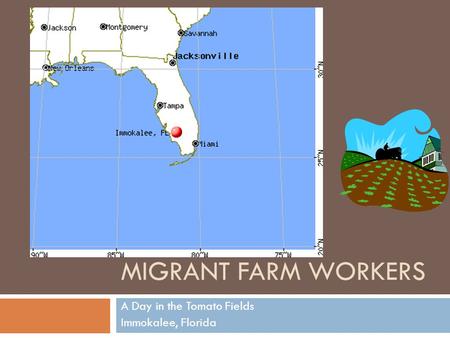 MIGRANT FARM WORKERS A Day in the Tomato Fields Immokalee, Florida.