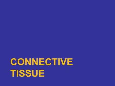 CONNECTIVE TISSUE. Connective Tissue Functions to bind, support, insulate and protect parts of the body. 3 Components: Specialized cells, ground substance.